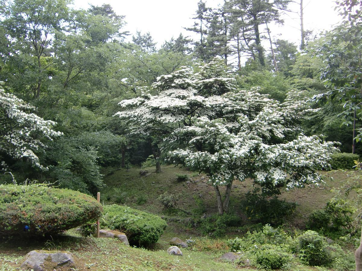 Bed and Breakfast Hale Makawao Daisen  Exteriér fotografie